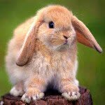 Sam - @samchum - Instagram