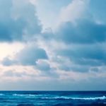 Sam Ciccia - @cicciasam - Instagram