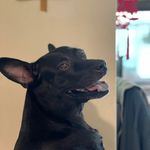 詹鈞 - @sam_citroen - Instagram