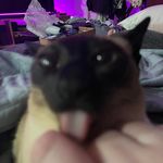 Sam Clancy - @crumbedlambchop - Instagram