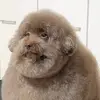 sam.claw - @sam.claw - TikTok