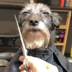 Sam claypool - @samtheclay - Instagram