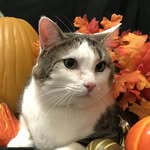 Samantha Claypool - @sambhc406 - Instagram