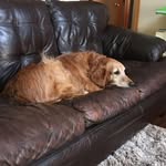 Sam Clum Sr. - @sjc4506 - Instagram