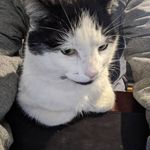 @coble.sam - Instagram