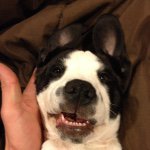 Sam Conklin - @sammmy_see - Instagram