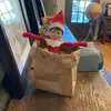 user1532147347198 - @samconte7 - TikTok