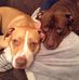 Sam Cope - Facebook