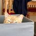 Sam Corbett - Facebook
