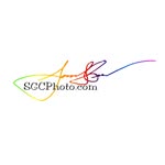 Sam Cormier - @samgcormierphotography - Instagram
