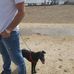 Sam Cottrell - Facebook