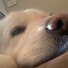 Sam Coutuier - @sam.couturier - TikTok
