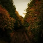 Sam Cowan - @samcowan_photography - Instagram