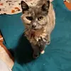 samcrowellbrewer - @sam.crowellbrewer - TikTok