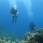 Samrat Datta - @sam.datta1306 - Instagram