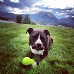 Sam Dayton - @samdayton81 - Instagram