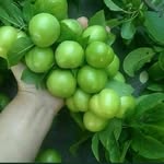 samd azadi - @samdazadi - Instagram