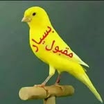 Samda Zada - @samdazada - Instagram