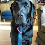 sam deal - @_sam.deal_ - Instagram