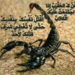 Sam Debo - Facebook