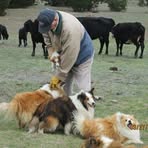 Sam Debo - Facebook