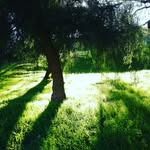 Sam DeBoer - @sam_deboer_12 - Instagram