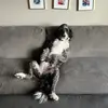 samdebo20 - @samdebo20 - TikTok
