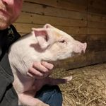 Sam DeBoer - @farmer_roy88 - Instagram