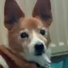 samanthadeighton5 - @samanthadeighton5 - TikTok