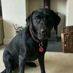 sam.deighton - @sam.deighton.37 - Instagram