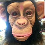 Sam DeLong - @imsamandiliketoparty - Instagram