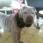 Sam - @sam_delphine_205 - Instagram