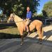 Sam Dempster - Facebook