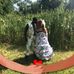 Sam Denison - Facebook