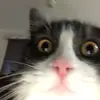 Sam - @sam.denman - TikTok