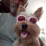 Sam Denney - @samdenny1958 - Instagram