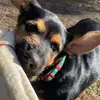 samdenson720 - @samdenson720 - TikTok