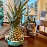 Sam Derr - @s.h.k._spd - Instagram