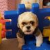 Sam Desouza - Facebook