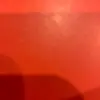Sam de Vries - @samdevries2 - TikTok