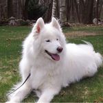 Sam Devries - @sdevries51903 - Instagram