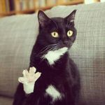 уточка^-^ - @_sam_dickens_ - Instagram