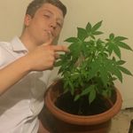 Sam Dickens - @samdickens97 - Instagram