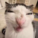 diddles - @samdiddles - Instagram