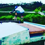 Sam Didier - @skaterdog67 - Instagram