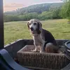 Sam Diehl - @samdiehl24 - TikTok
