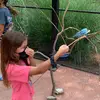samara_diehl55 - @samara_diehl55 - TikTok