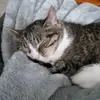 Sammy Diehl - @sammydiehl09 - TikTok