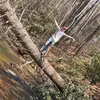 Sam Dillard - @samdillard6 - TikTok