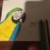 Sam - @samdillard - TikTok